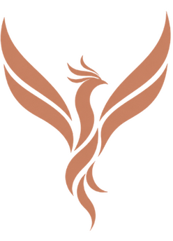 Logo Virtuel Studio